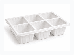 Plaque 6 alvéoles — vue 1